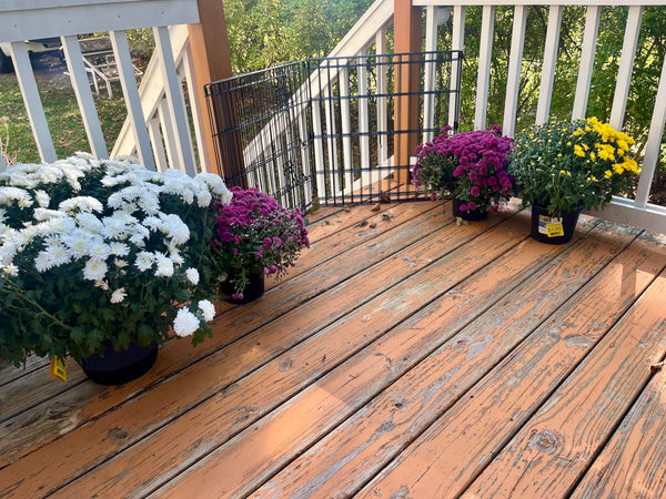 Customer review photo